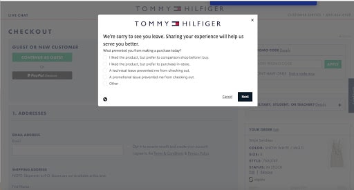 Tommy Hilfiger example