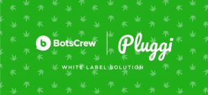 Pluggi white-label chatbot case study